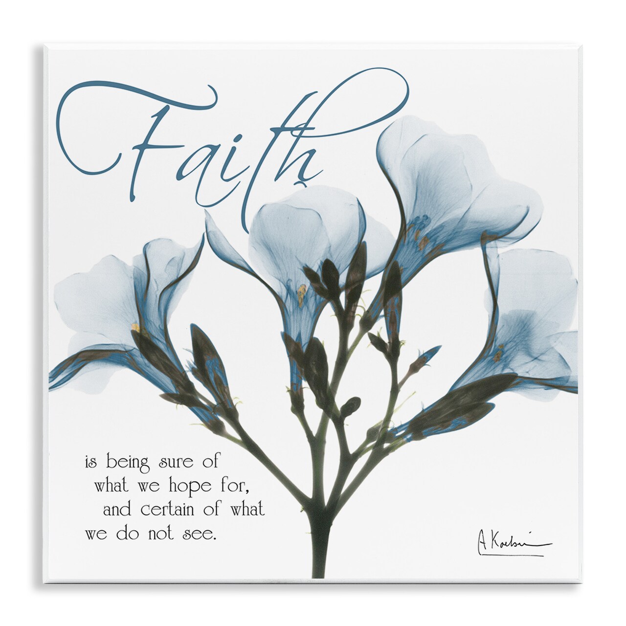 Stupell Industries Faith Phrase Flower Silhouette Wall Plaque Art